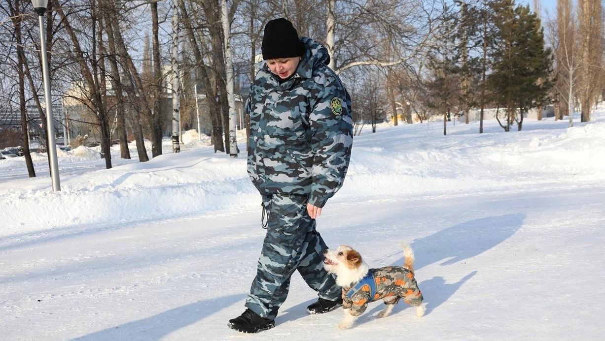 Валерий Шахов