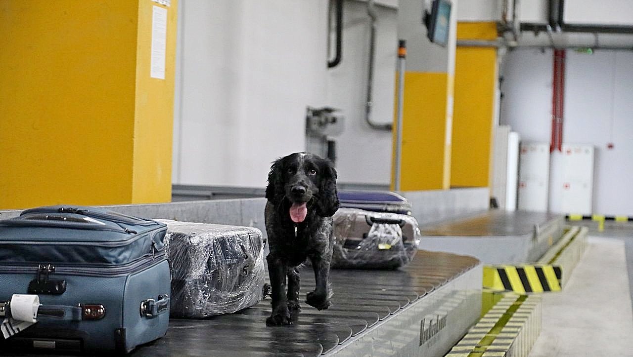 Валерий Шахов