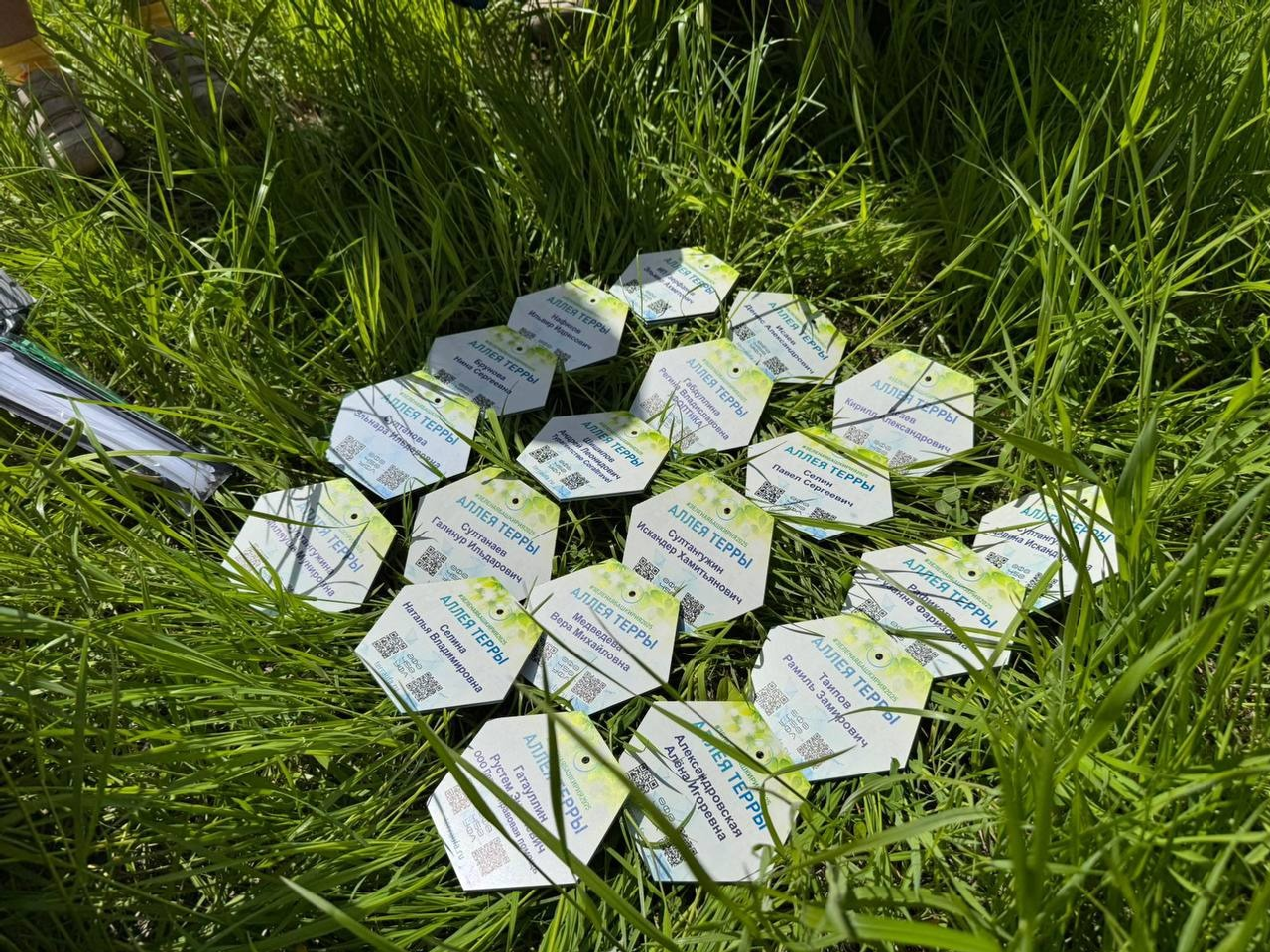 Илвир Нурдавлятов, телеграм