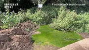 скриншот видео Народный фронт РБ, канал в Макс