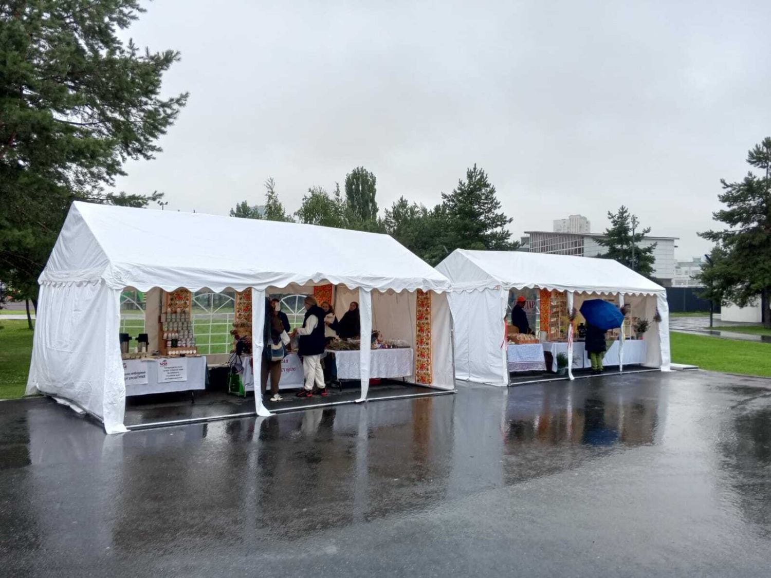 Евгений Соколов, газета «Панорама Башкортостана»