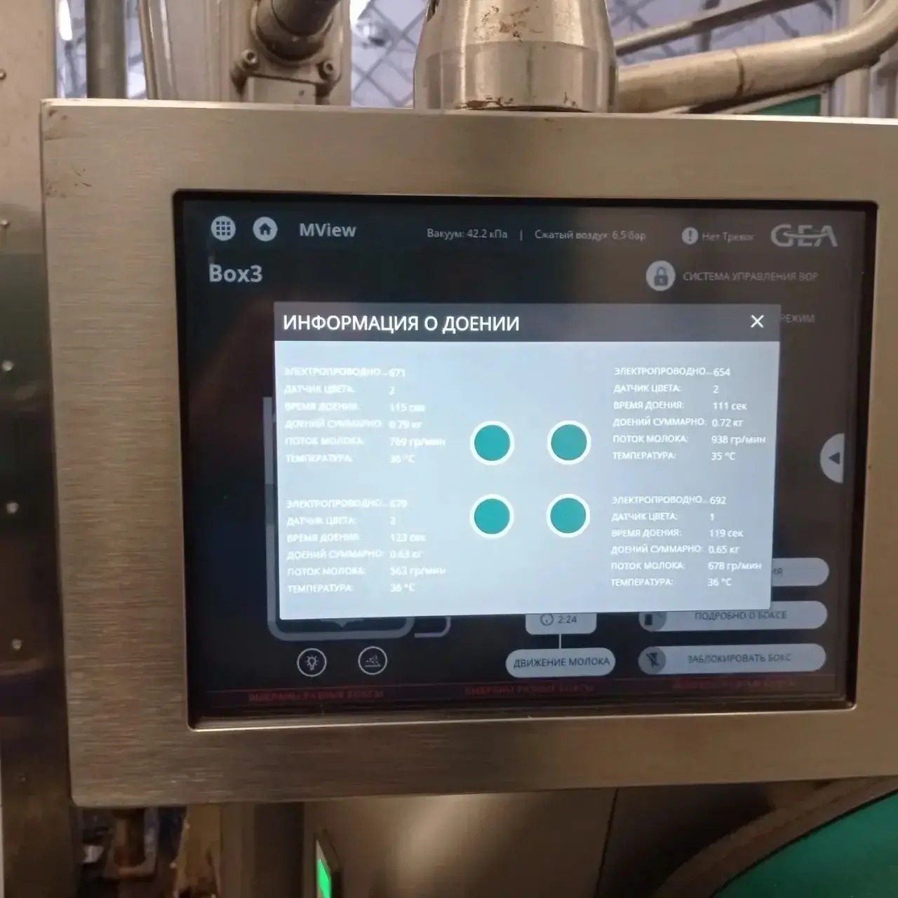 телеграм-канал Радия Хабирова, архивное фото