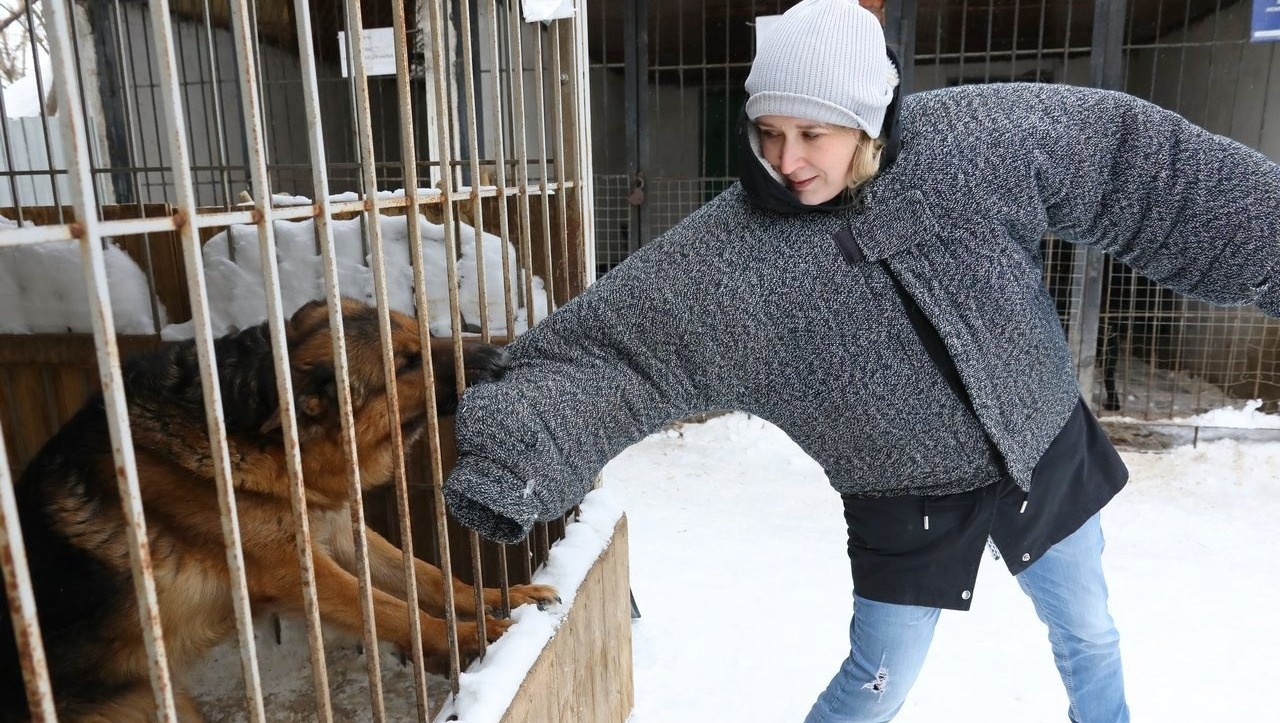 Валерий Шахов