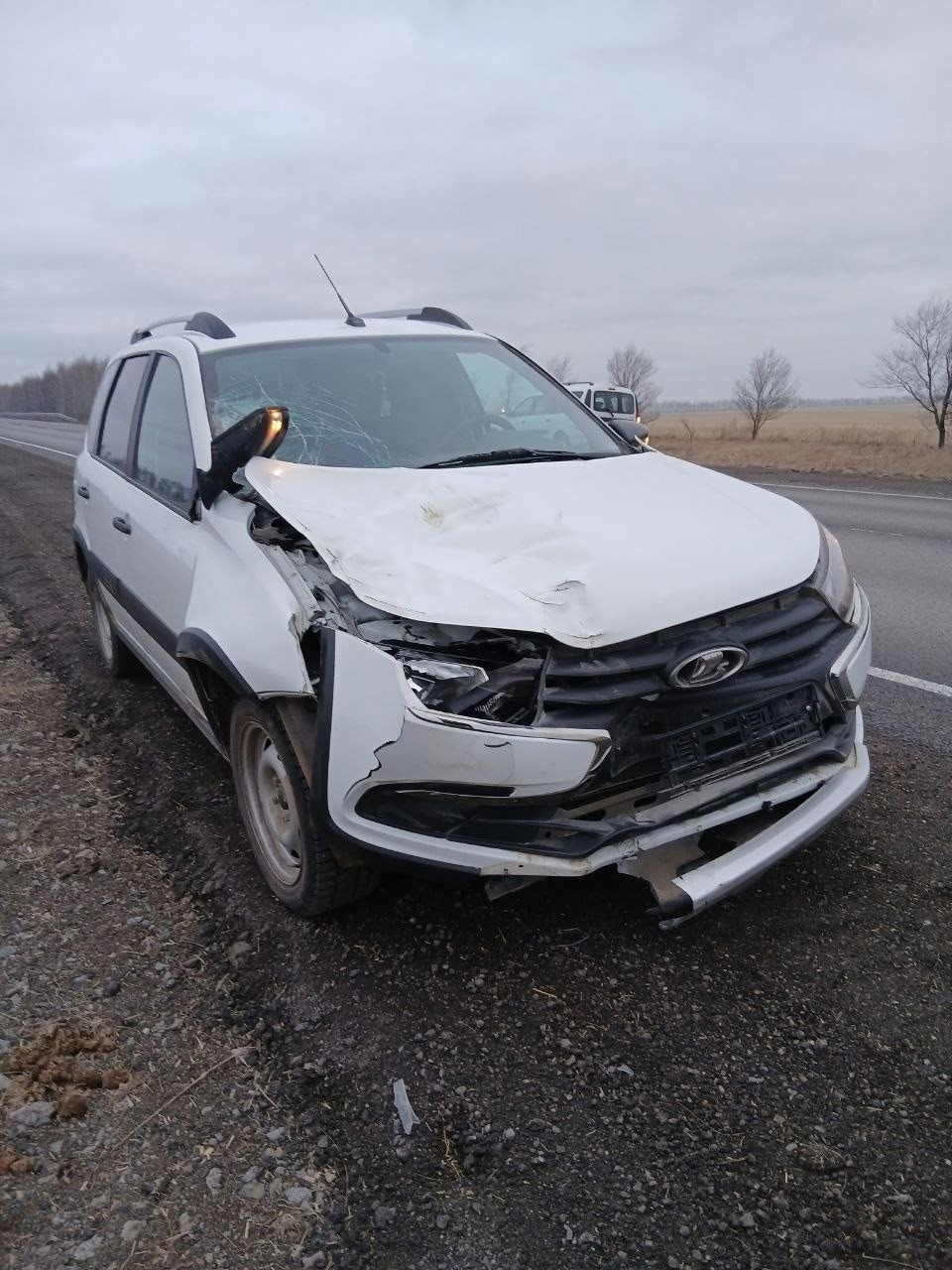 администрация Абзелиловского района официальный телеграм-канал