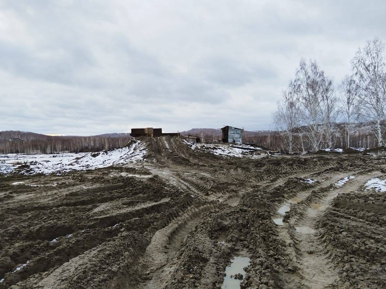 телеграм-канал Светланы Радионовой