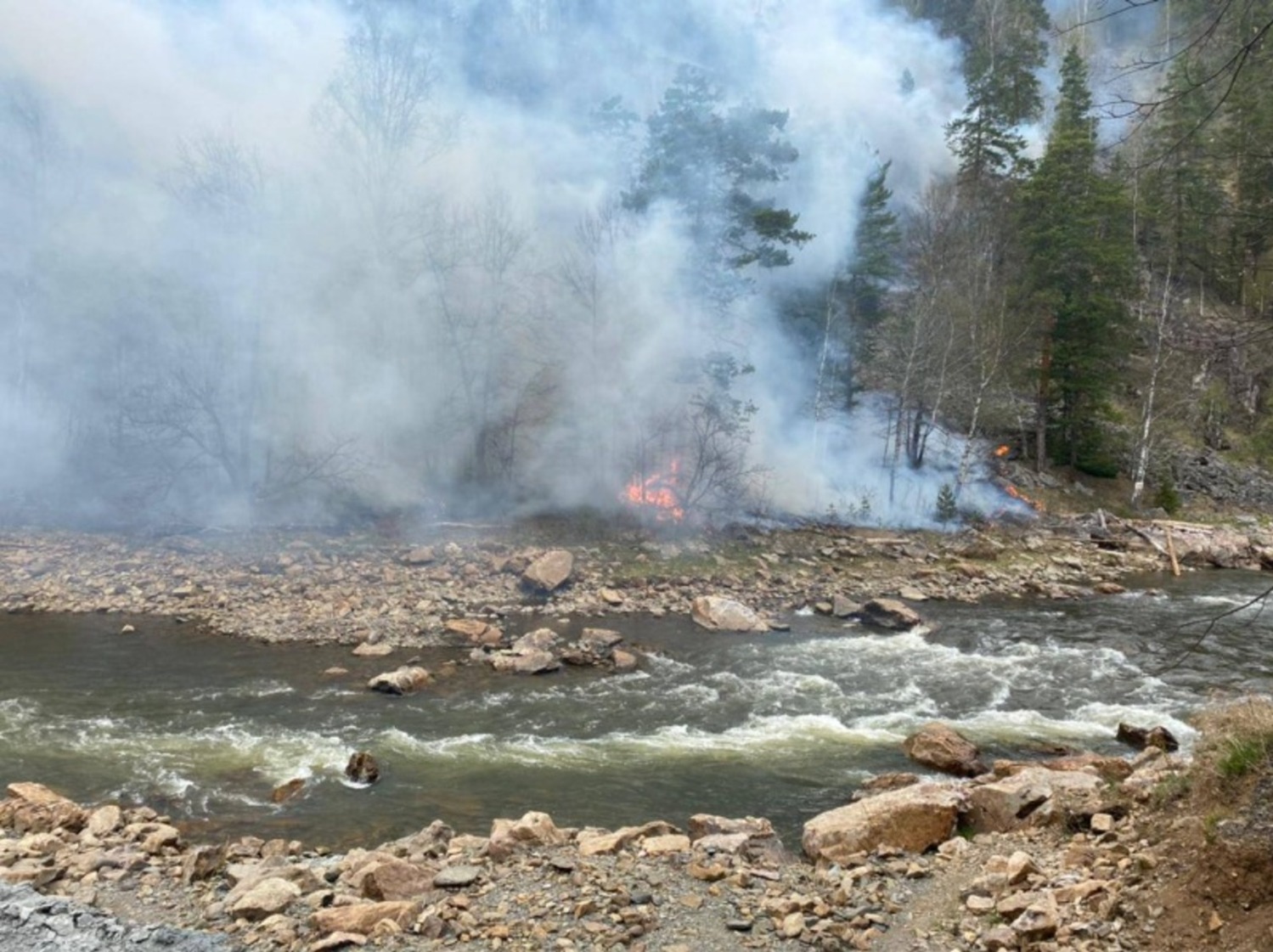 госкомитет РБ по ЧС Одно из последствий глобального потепления - лесные пожары
