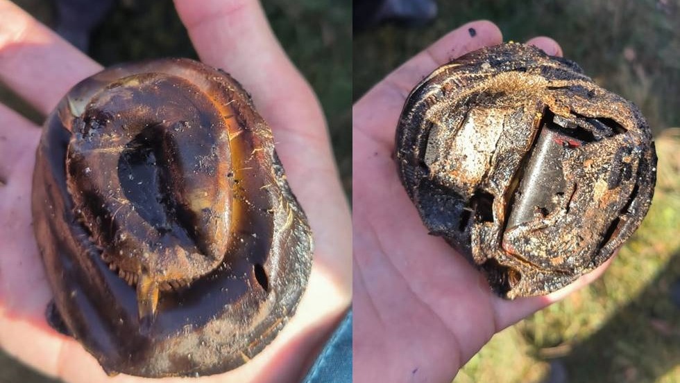 пресс-служба МЧС по РБ  Извещатель "сгорел на работе", но функцию свою выполнил - спас жизни людей