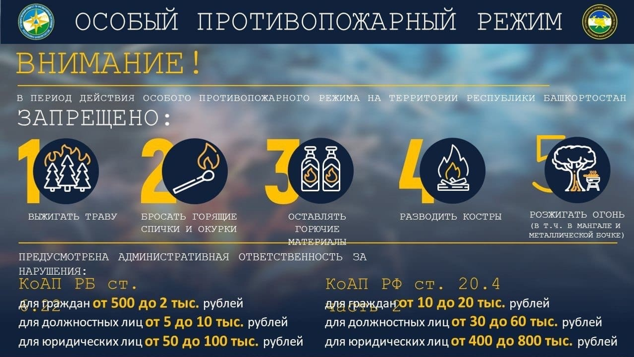 госкомитет РБ по ЧС