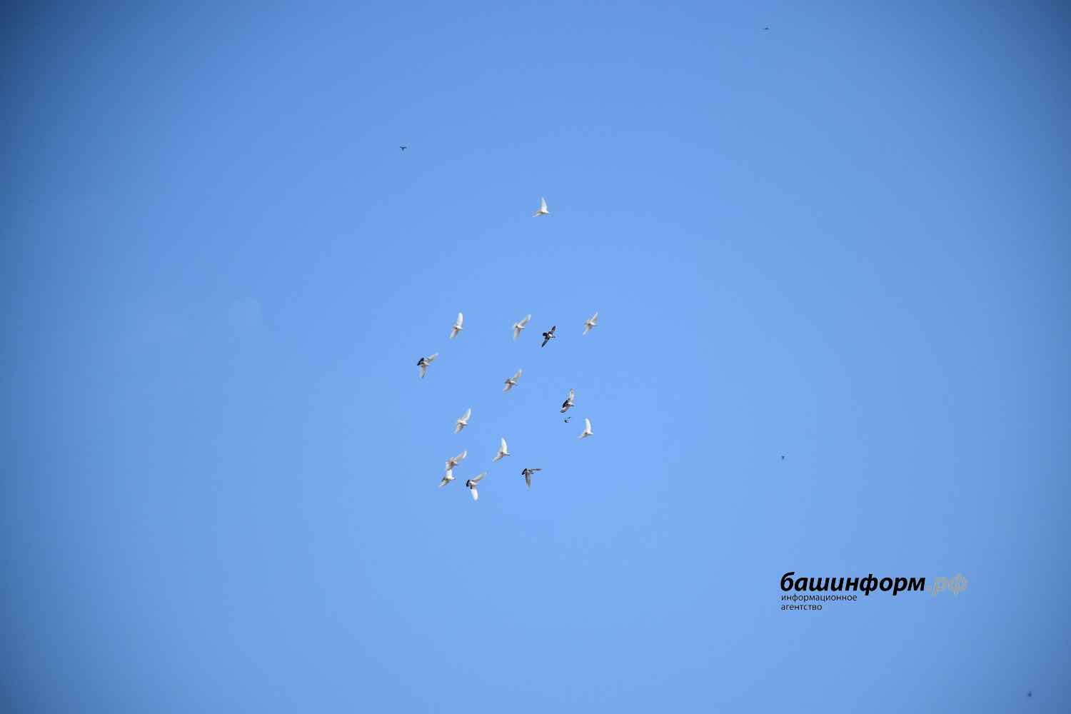 Эдуард Кускарбеков