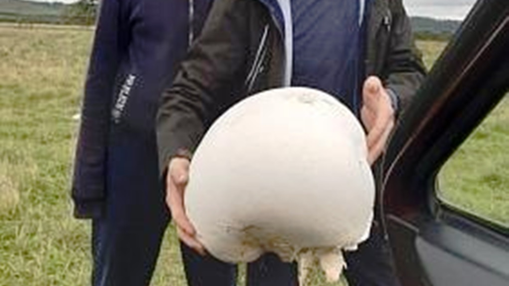 издание "На земле Салавата"