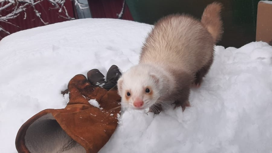 личный архив Андрея Жерновкова