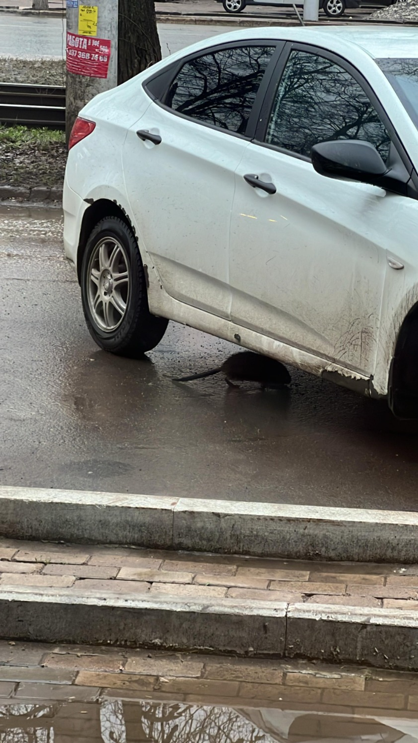 пресс-служба минэкологии Башкирии