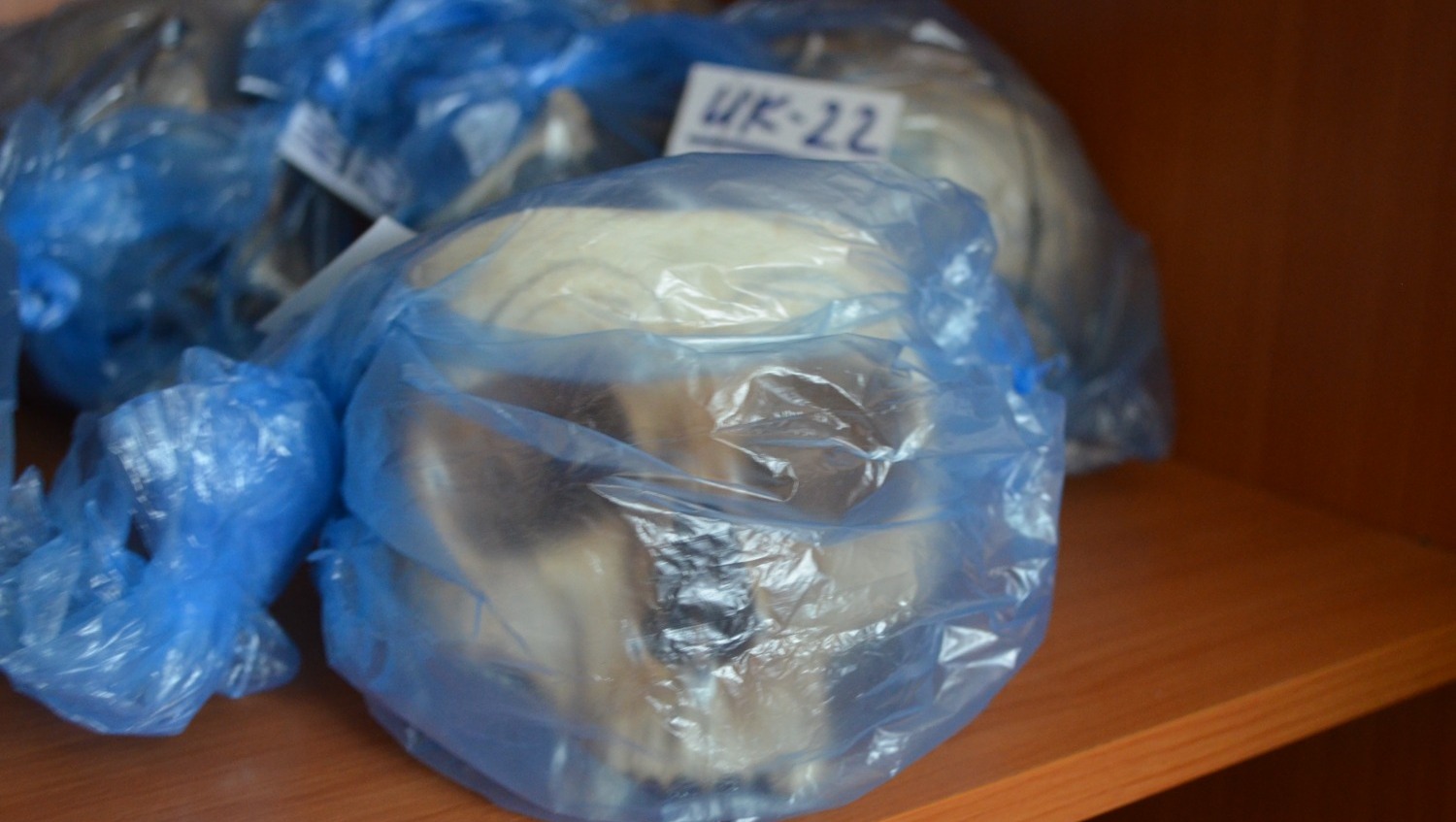 Ксения Калинина