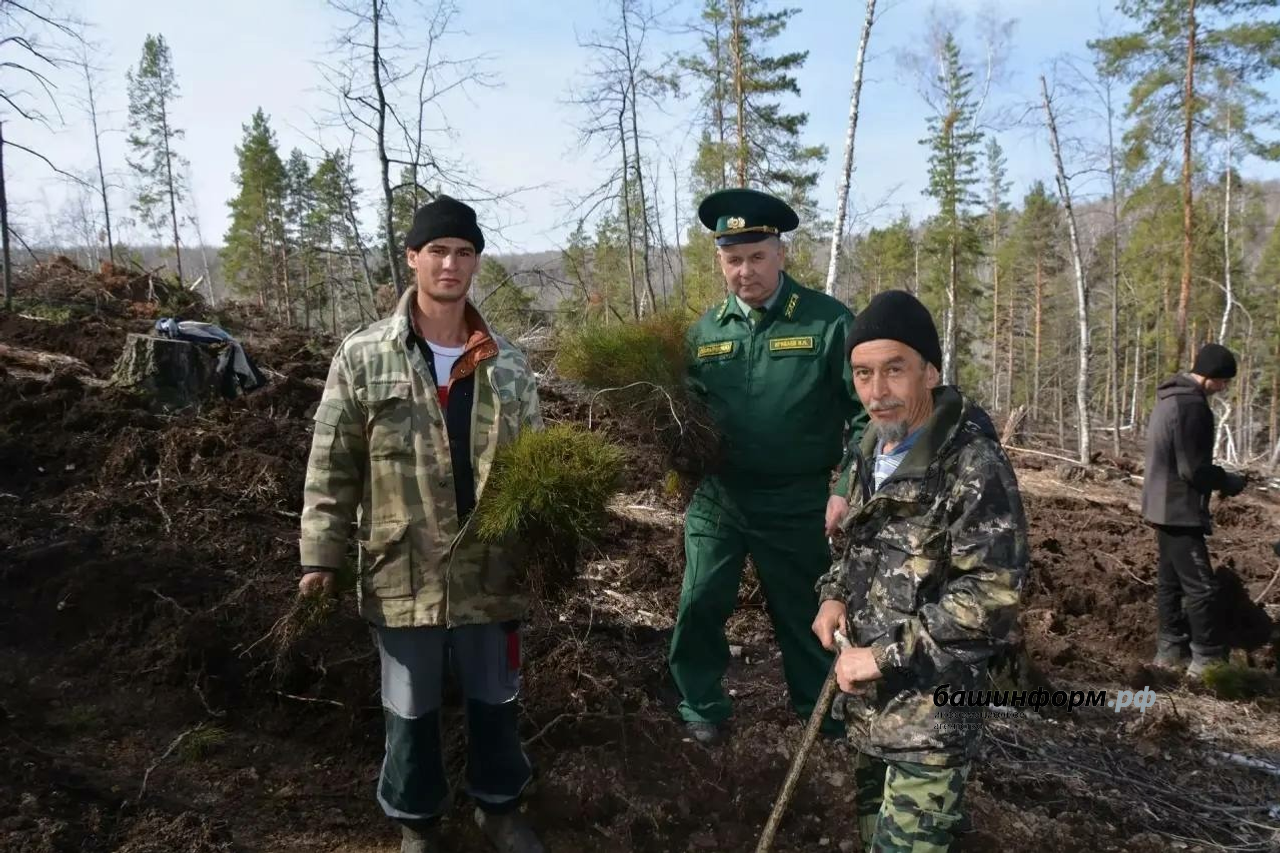 соцсети Радия Хабирова