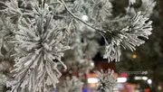 Ксения Калинина ИА «Башинформ»