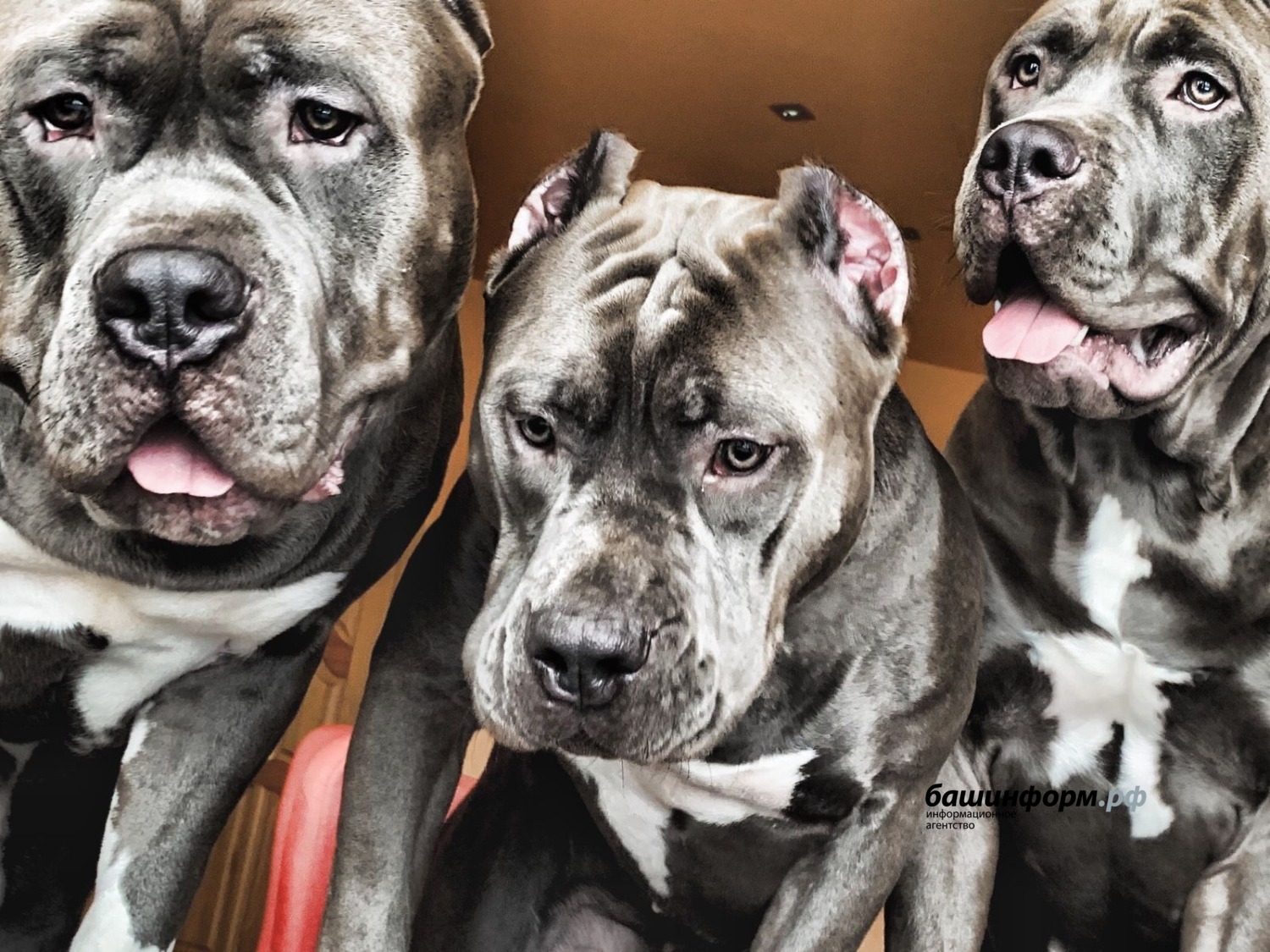 предоставлено Марией