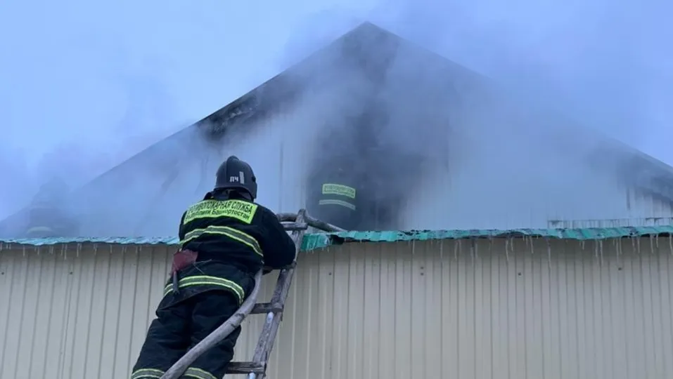 Госкомитет РБ по ЧС