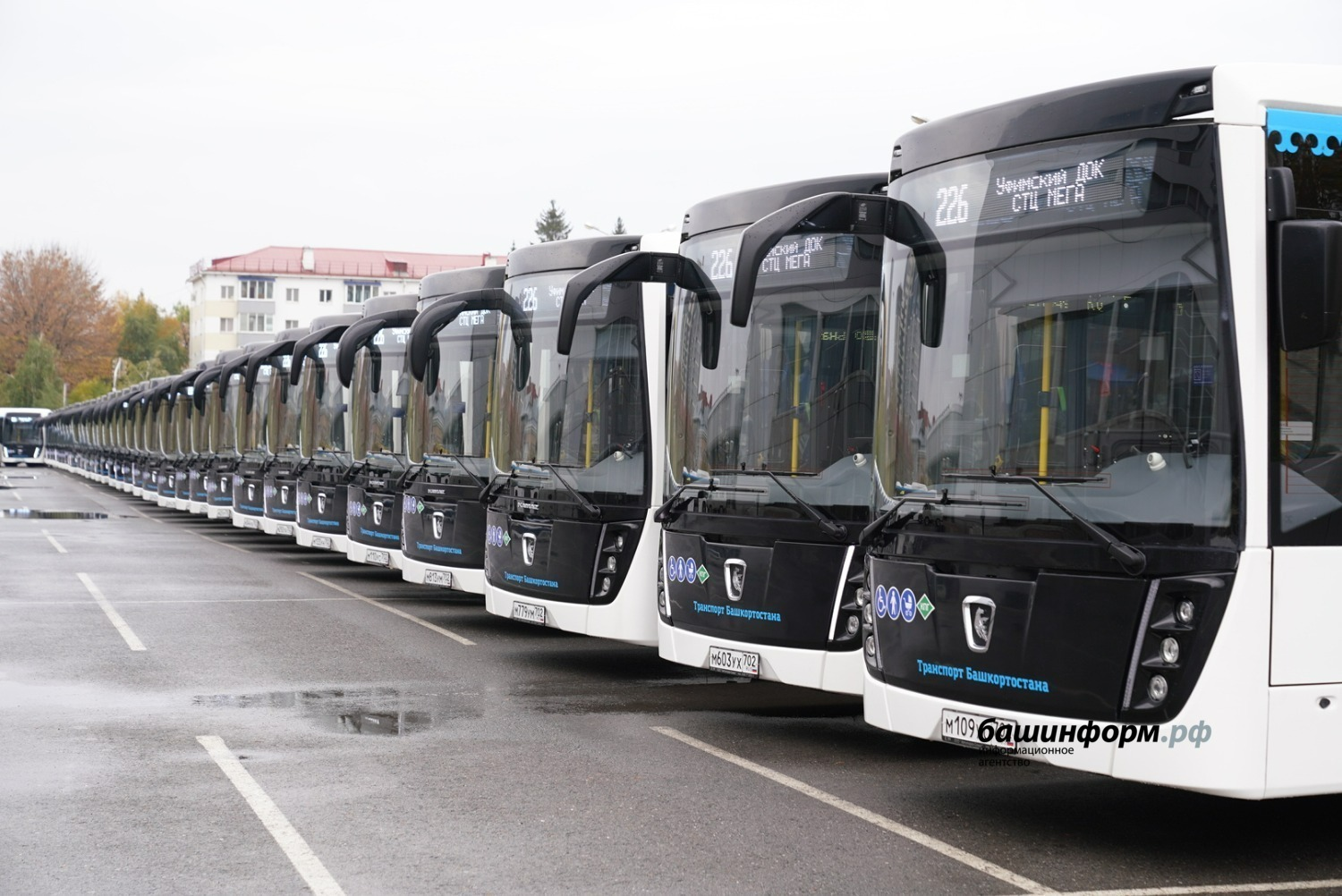 Олег Яровиков  Новые автобусы, выходящие на городские маршруты, работают на газе