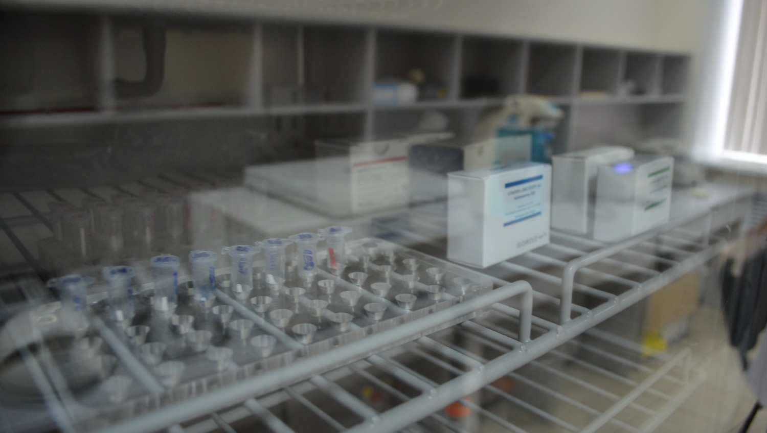 Ксения Калинина