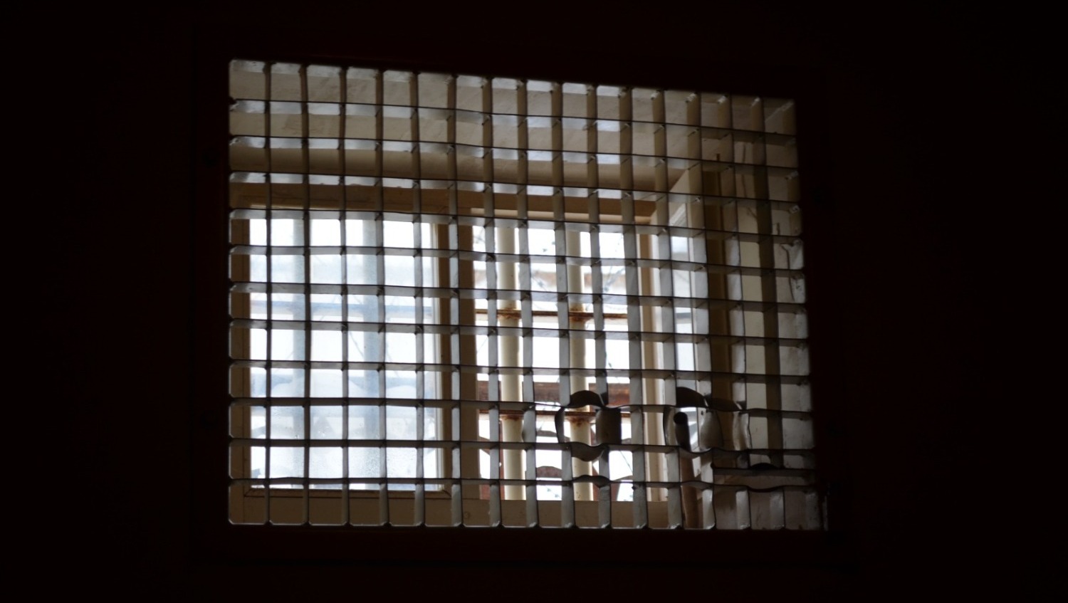 Ксения Калинина