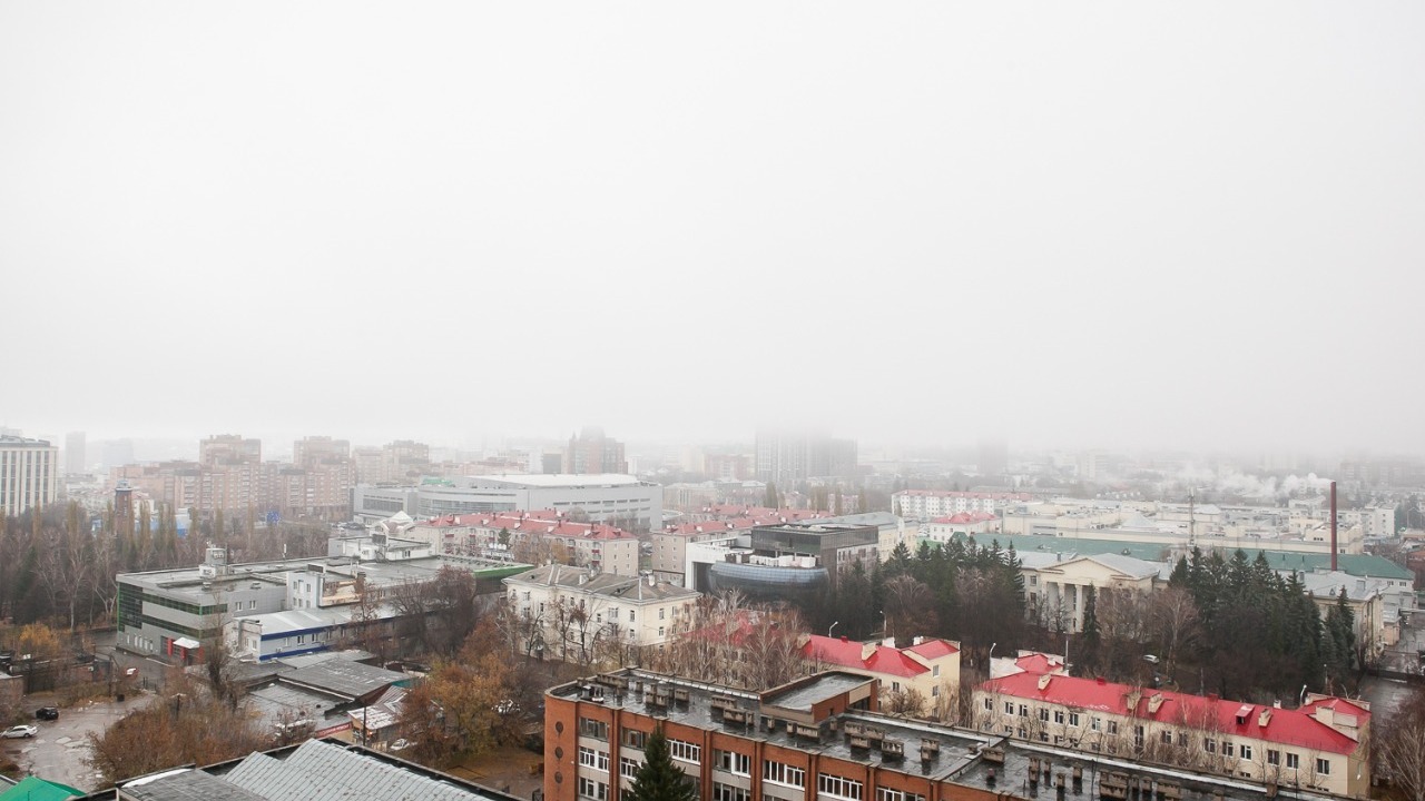 предоставлено организатором предоставлено организатором