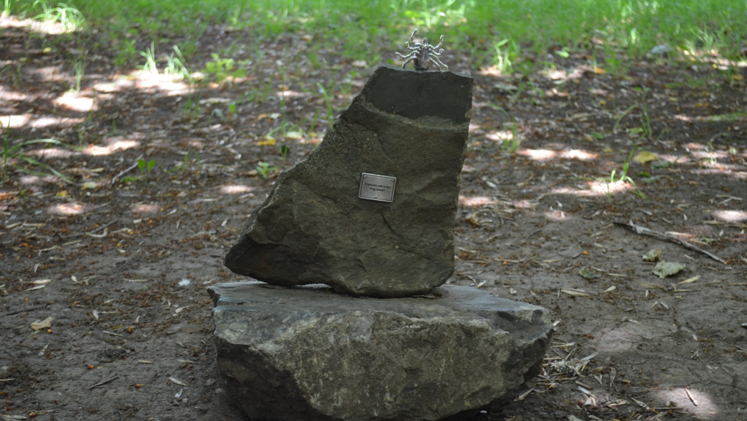 Ксения Калинина