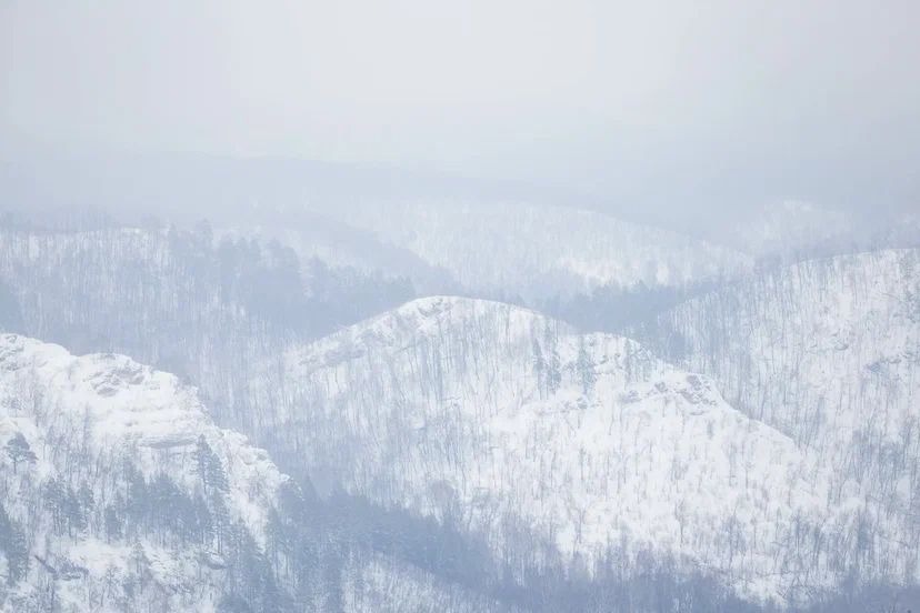 Комитет РБ по делам ЮНЕСКО