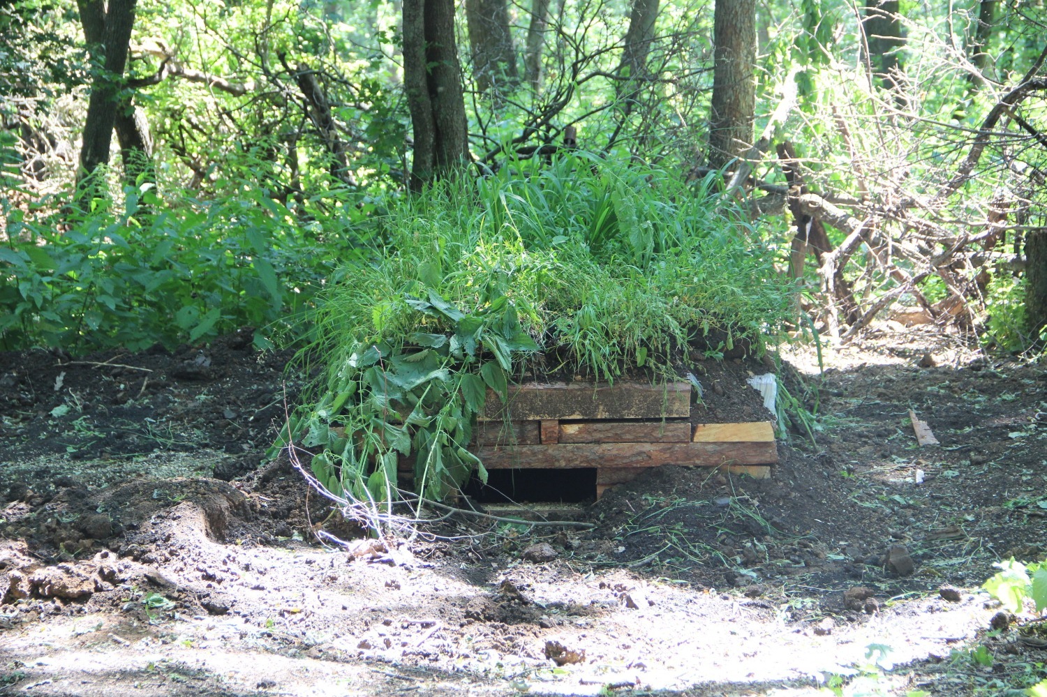 Эдуард Кускарбеков