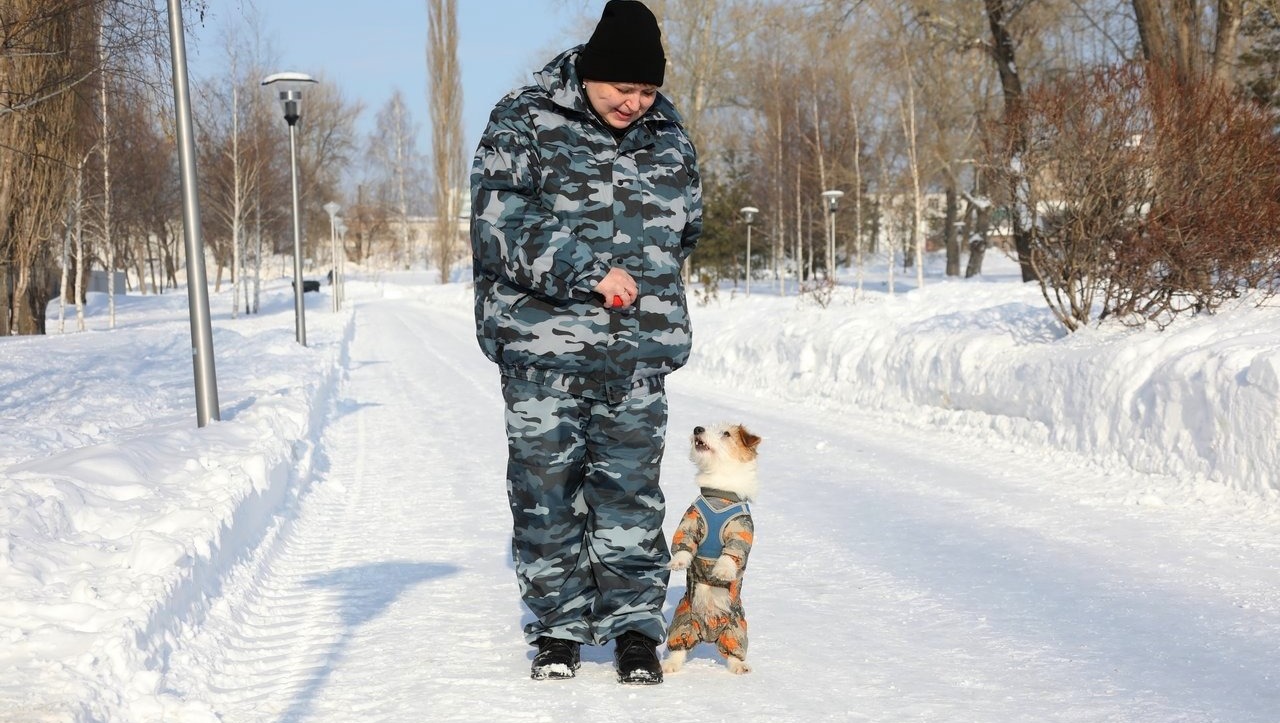 Валерий Шахов