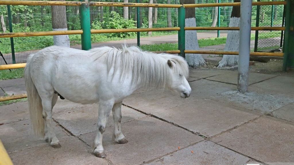 Фото: администрация Уфы