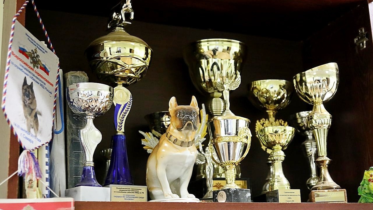 Валерий Шахов