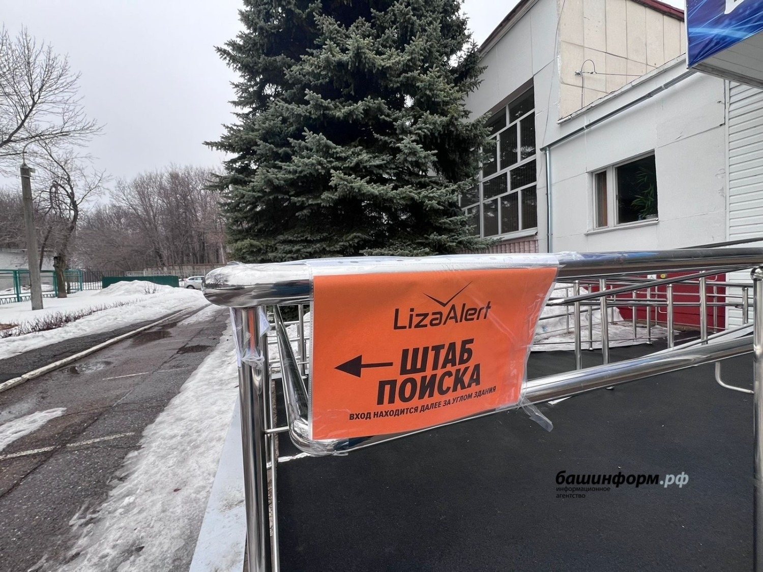 Ксения Калинина