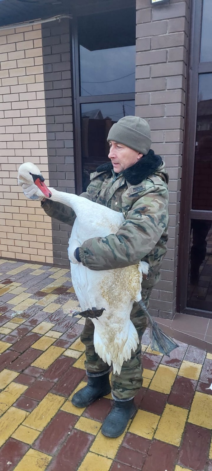 пресс-служба минэкологии РБ соцсети