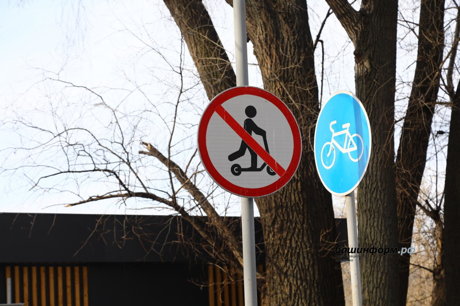 Валерий Шахов Фотобанк ИА «Башинформ»