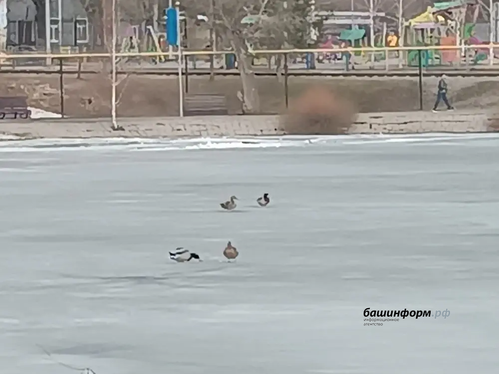 Александр Зайцев специально для ИА «Башинформ»