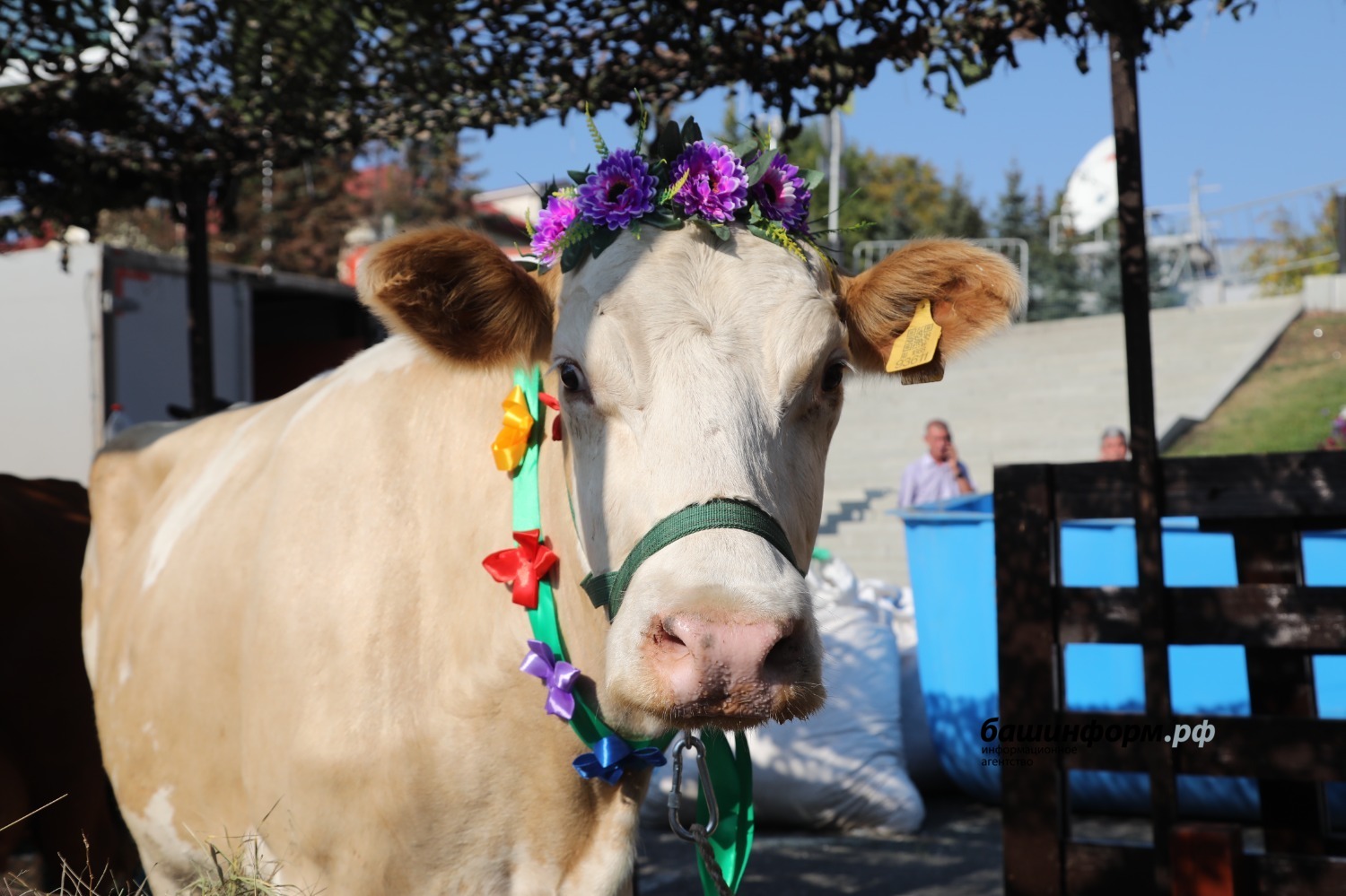 Олег Яровиков архив ИА «Башинформ»