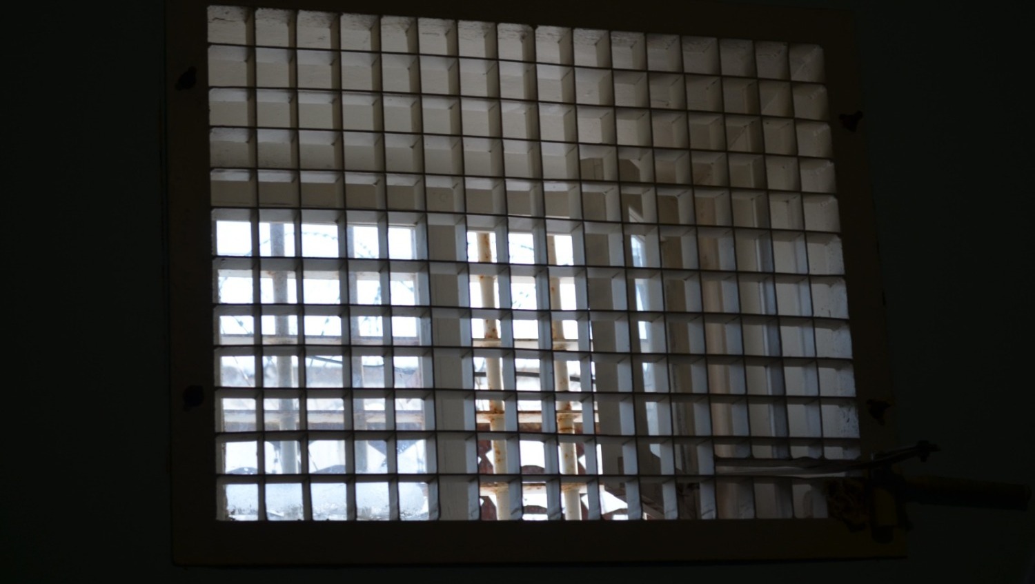 Ксения Калинина