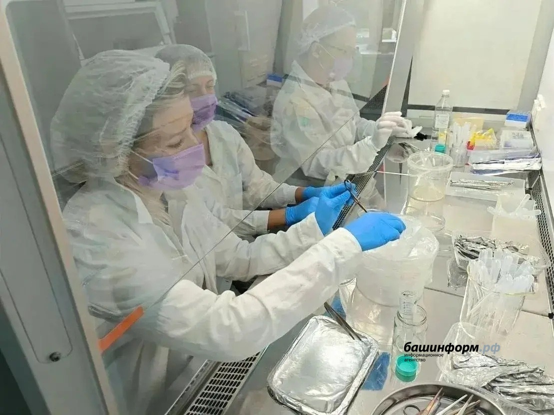 соцсети Радия Хабирова ВКонтакте