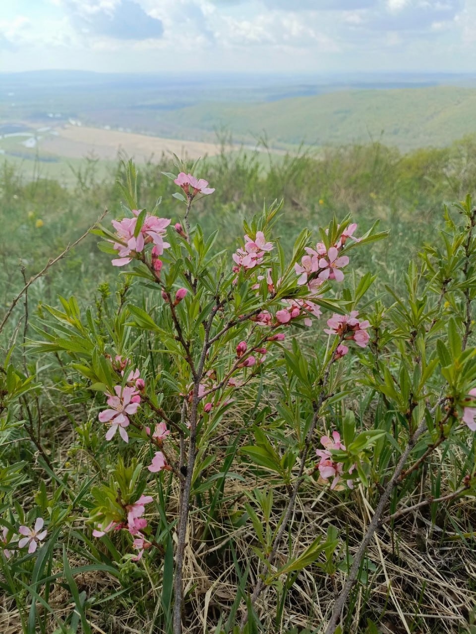 нацпарк «Башкирия», телеграм