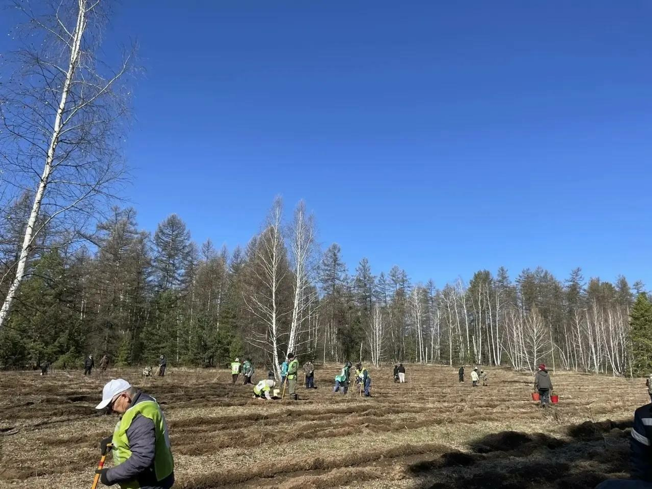 соцсети Радия Хабирова