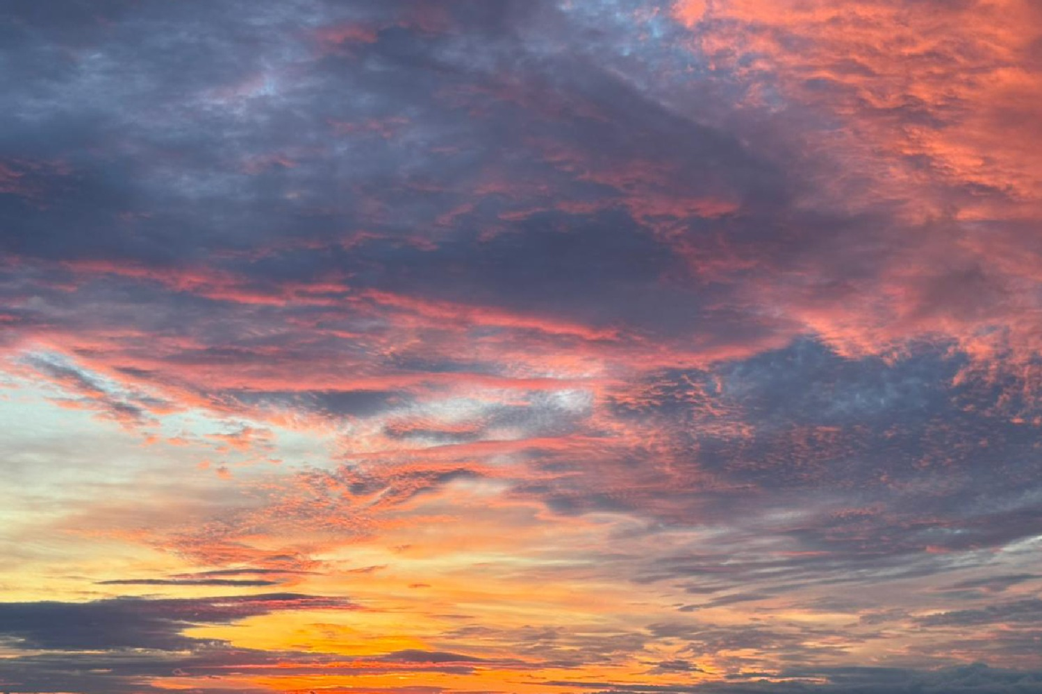 Марк Скворцов предоставлено Городским туристско-информационным бюро Закат в Финском заливе (Комаровский берег)