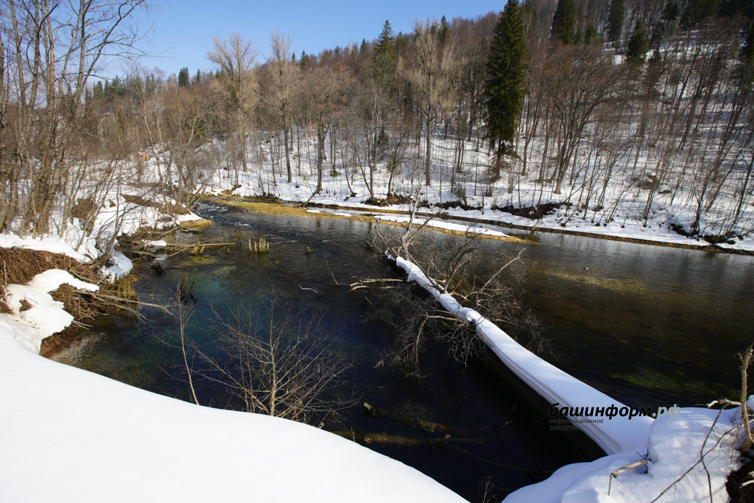 Олег Яровиков ИА "Башкортостан"
