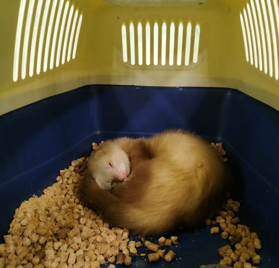 Управление гражданской защиты Уфы