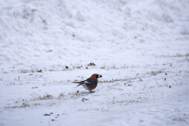 Нацпарк "Башкирия" ТГ-канал
