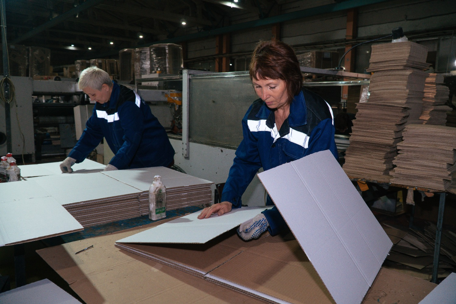 Николай Челидзе личный архив