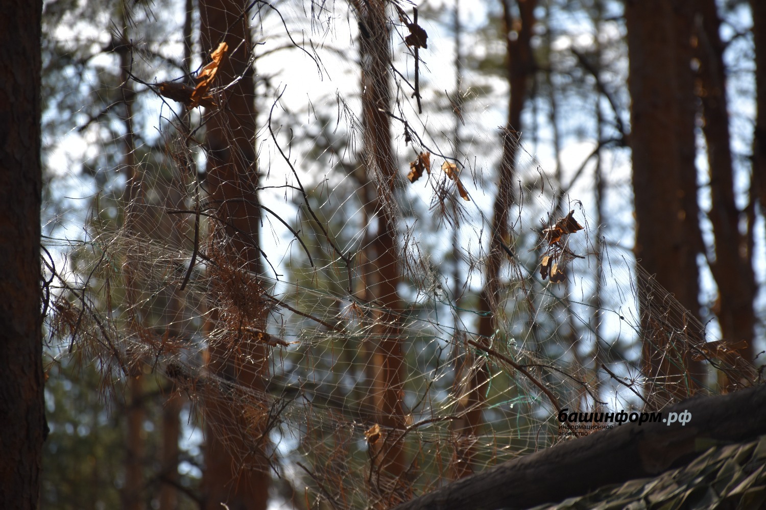 Эдуард Кускарбеков