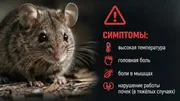 минздрав рб соцсети