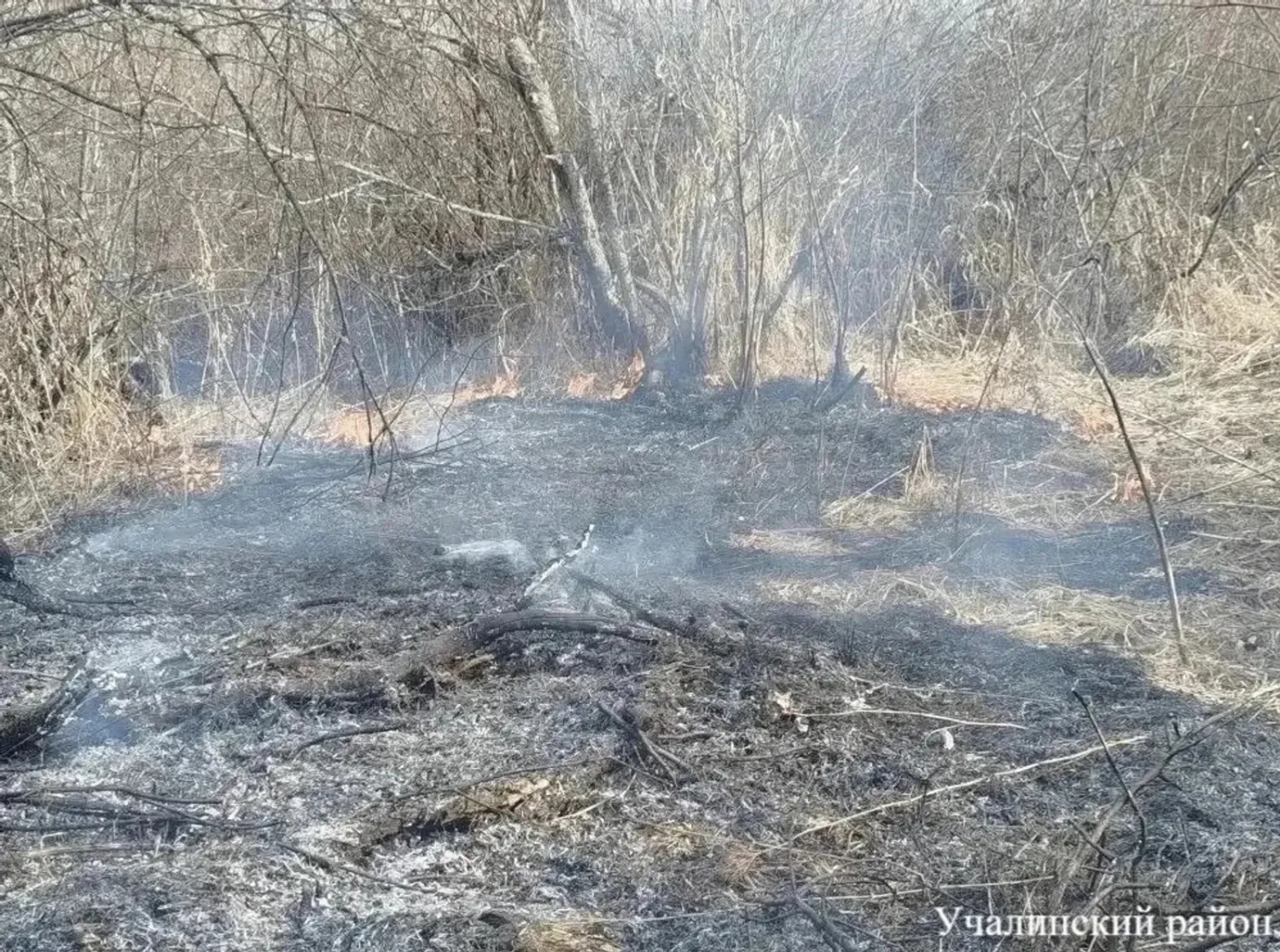 Госкомитет РБ по ЧС пресс-служба