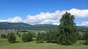 Лейла Аралбаева  ИА «Башинформ»