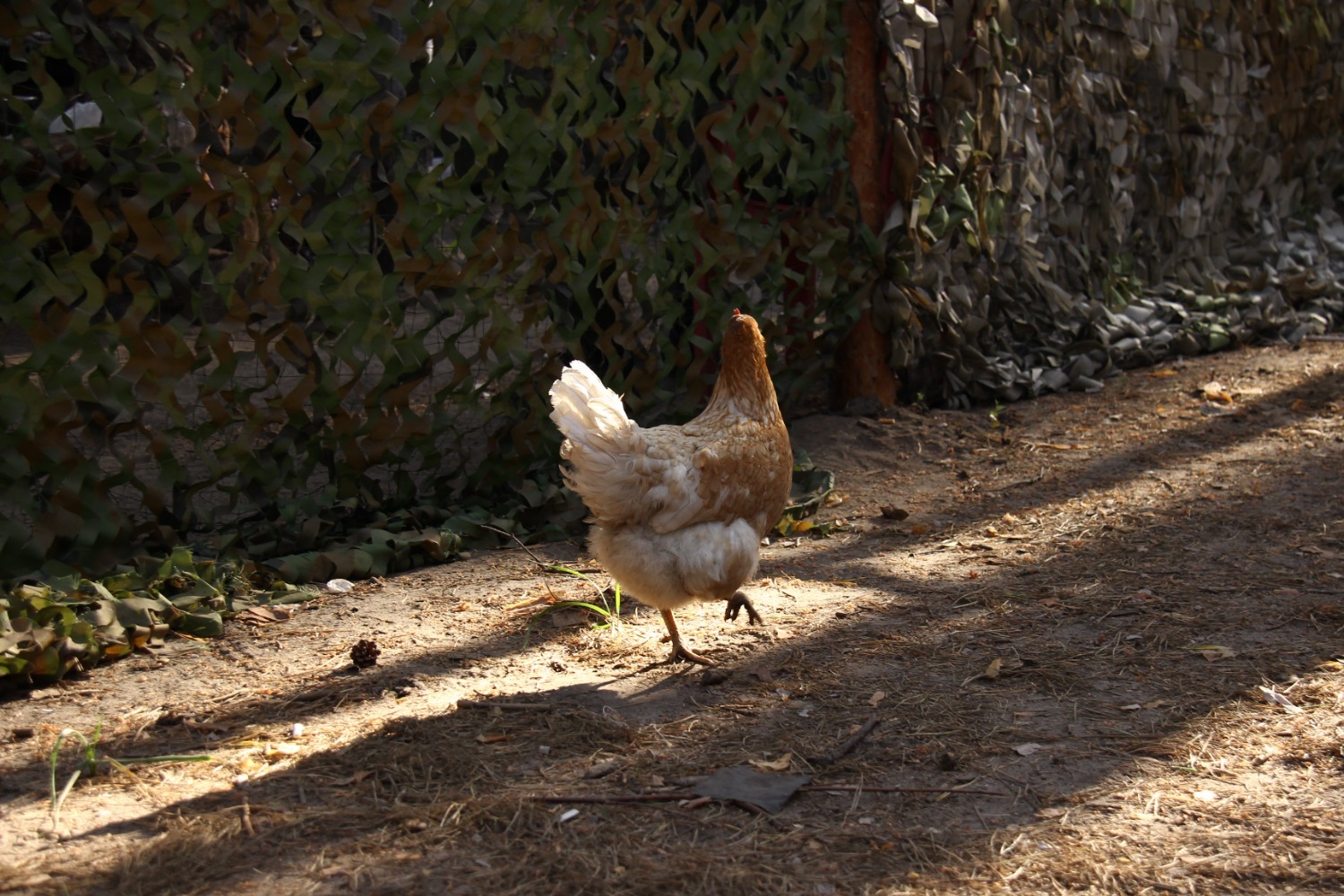 Эдуард Кускарбеков